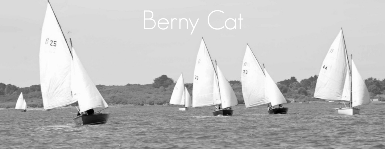 Berny Cat B&W243234